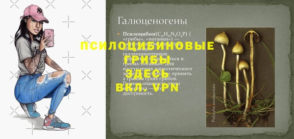 apvp Костерёво