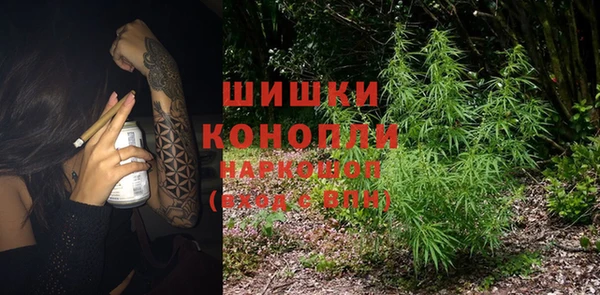 apvp Костерёво