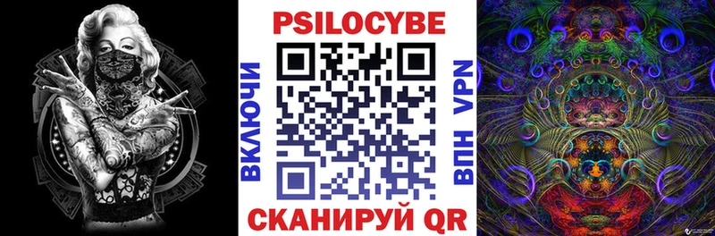 Купить закладки  Черняховск  Галлюциногенные грибы мухоморы 